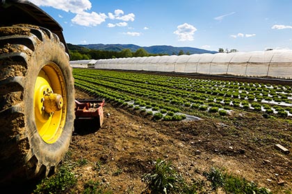 multirischio aziende agricole